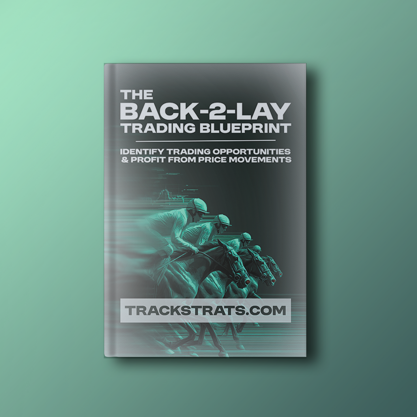 The Back-2-Lay Trading Blueprint
